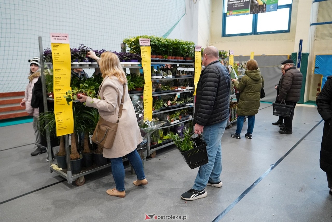 Festiwal Roślin w Ostrołęce [1.03.2025] - zdjęcie #25 - eOstroleka.pl
