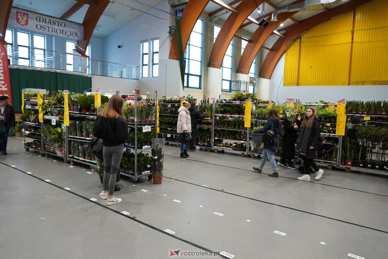 Festiwal Roślin w Ostrołęce [1.03.2025] - zdjęcie #20 - eOstroleka.pl