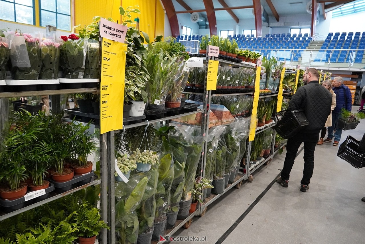 Festiwal Roślin w Ostrołęce [1.03.2025] - zdjęcie #15 - eOstroleka.pl