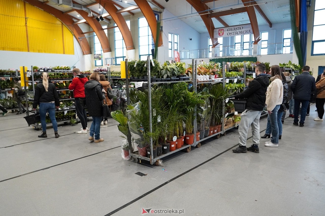 Festiwal Roślin w Ostrołęce [1.03.2025] - zdjęcie #9 - eOstroleka.pl