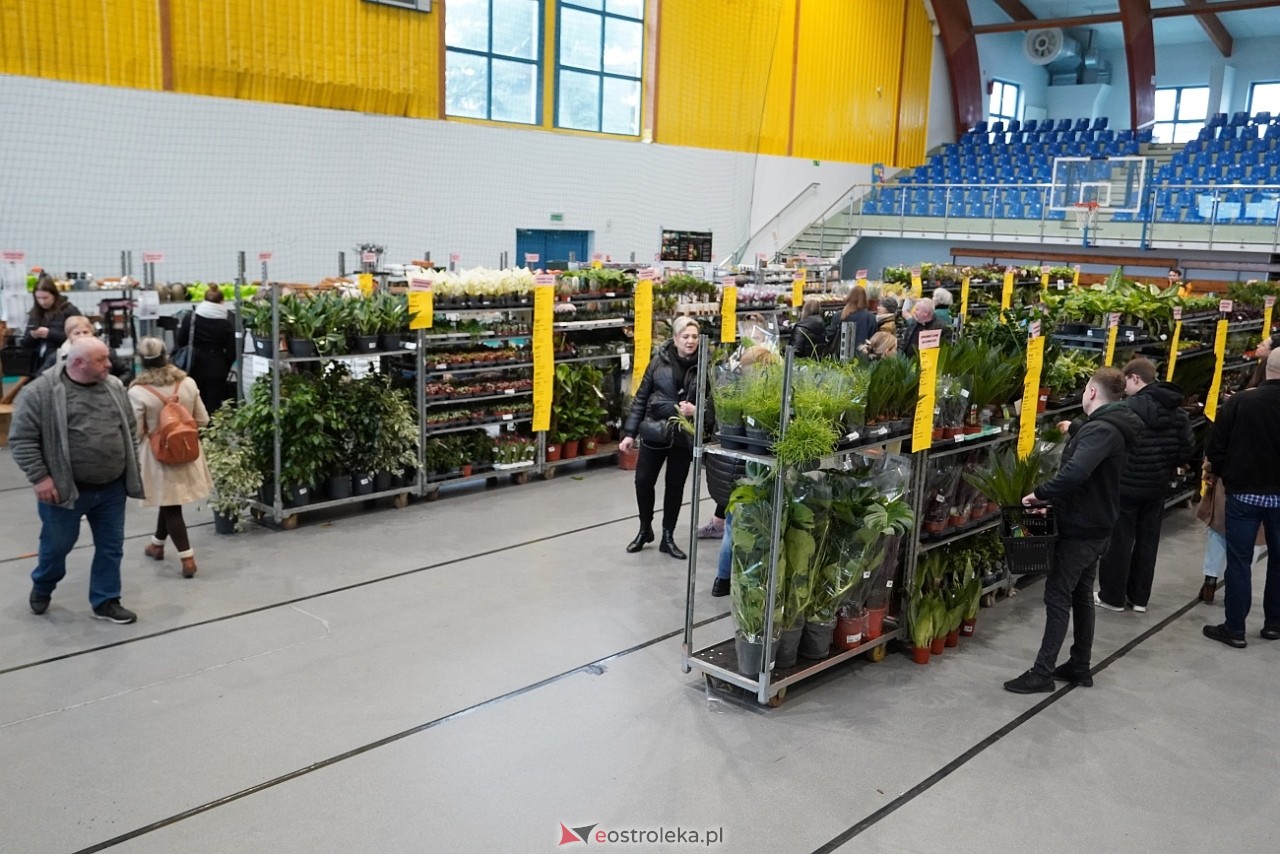 Festiwal Roślin w Ostrołęce [1.03.2025] - zdjęcie #7 - eOstroleka.pl