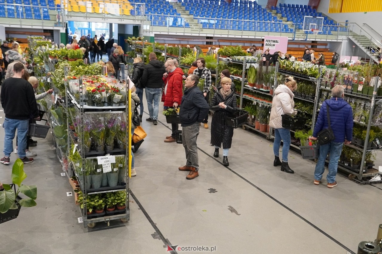Festiwal Roślin w Ostrołęce [1.03.2025] - zdjęcie #6 - eOstroleka.pl