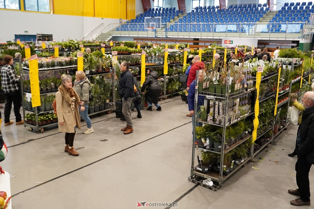 Festiwal Roślin w Ostrołęce [1.03.2025] - zdjęcie #5 - eOstroleka.pl