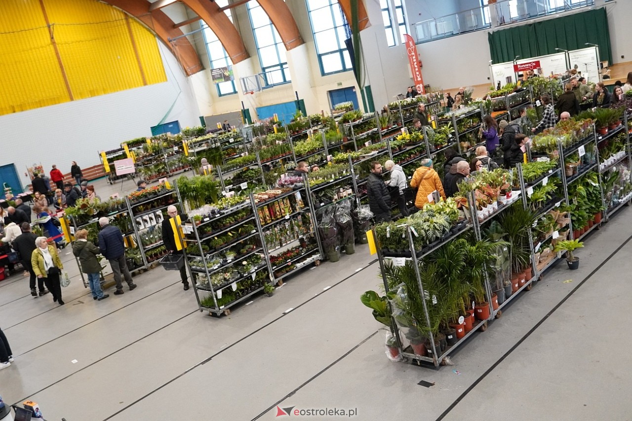 Festiwal Roślin w Ostrołęce [1.03.2025] - zdjęcie #2 - eOstroleka.pl