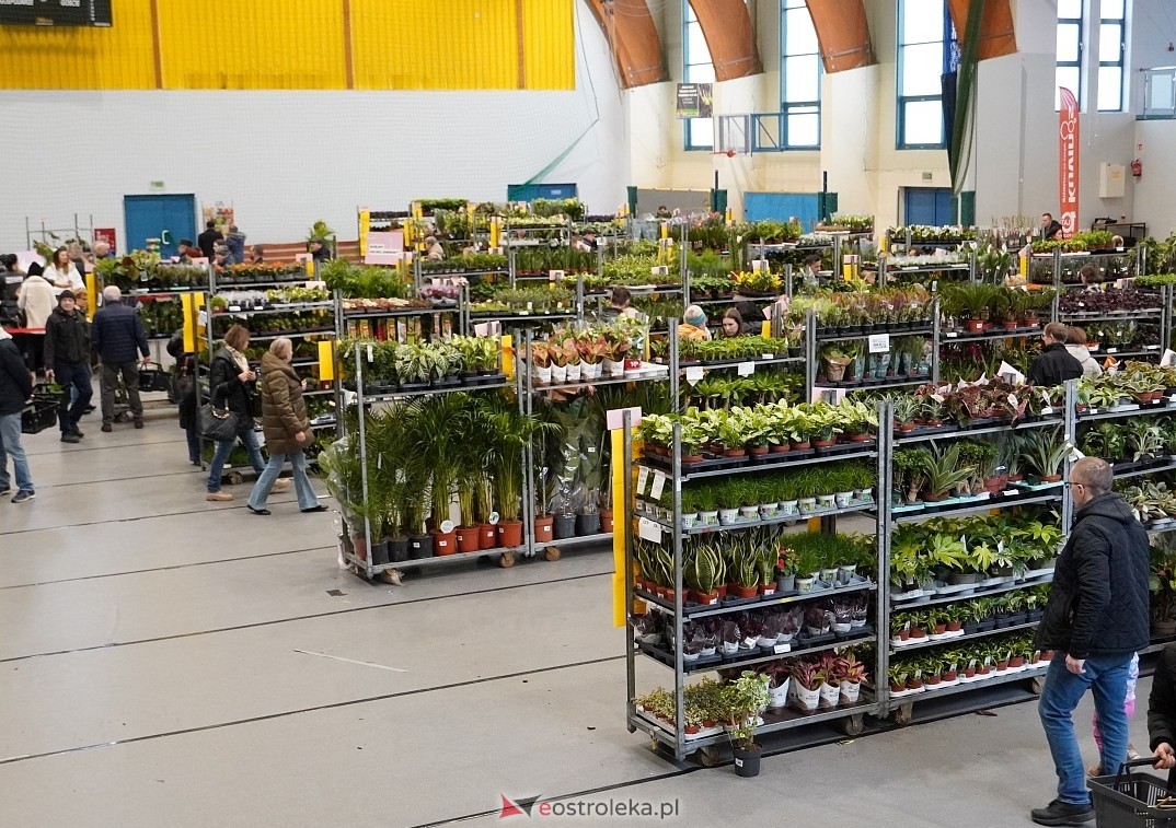 Festiwal Roślin w Ostrołęce [1.03.2025] - zdjęcie #1 - eOstroleka.pl