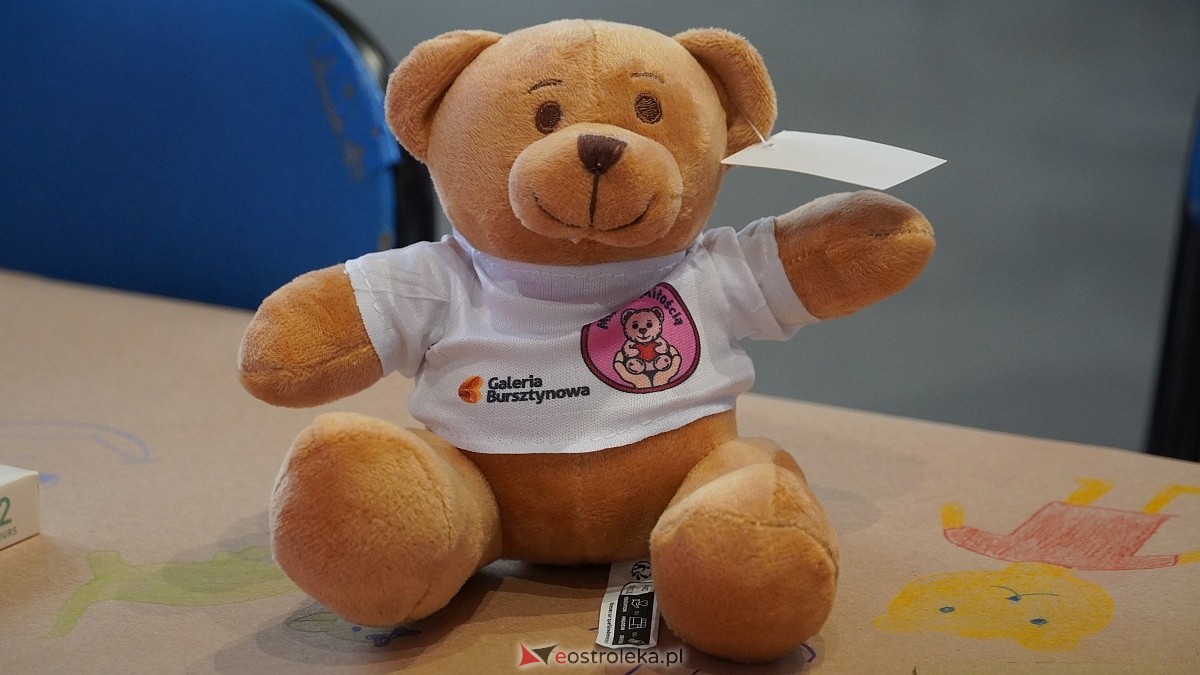 Finał akcji Misie z mmiłością w hali im. Arkadiusza Gołasia w Ostrołęce [13.03.2025] - zdjęcie #117 - eOstroleka.pl