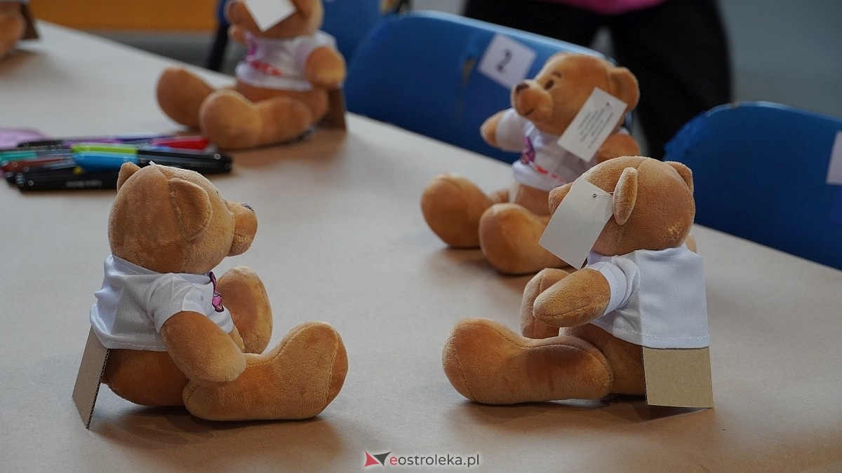 Finał akcji Misie z mmiłością w hali im. Arkadiusza Gołasia w Ostrołęce [13.03.2025] - zdjęcie #116 - eOstroleka.pl