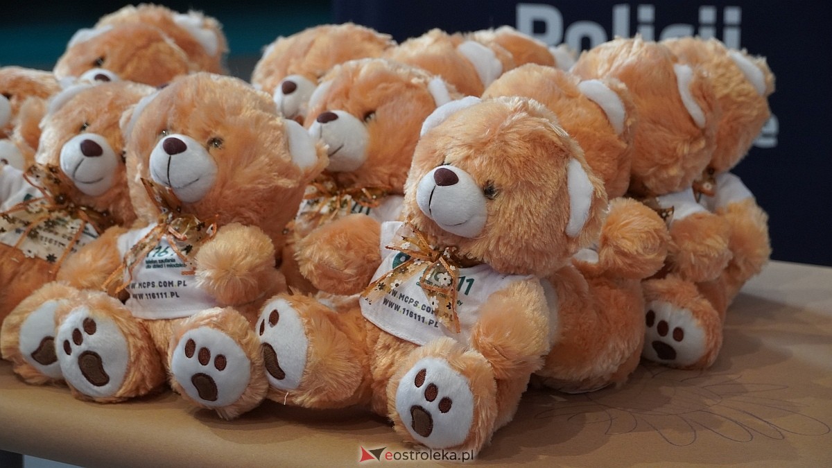 Finał akcji Misie z mmiłością w hali im. Arkadiusza Gołasia w Ostrołęce [13.03.2025] - zdjęcie #111 - eOstroleka.pl