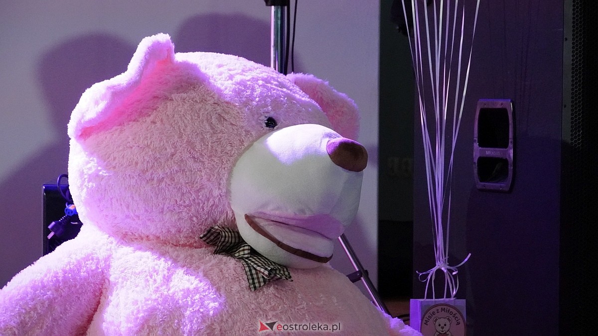 Finał akcji Misie z mmiłością w hali im. Arkadiusza Gołasia w Ostrołęce [13.03.2025] - zdjęcie #102 - eOstroleka.pl