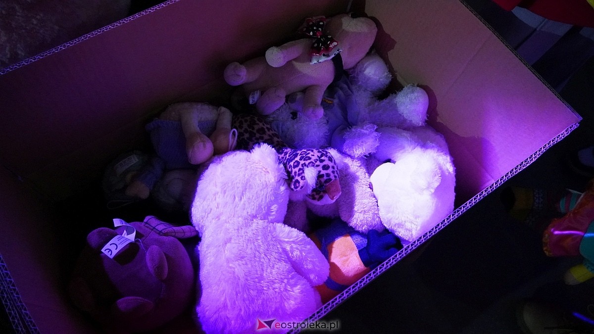 Finał akcji Misie z mmiłością w hali im. Arkadiusza Gołasia w Ostrołęce [13.03.2025] - zdjęcie #93 - eOstroleka.pl