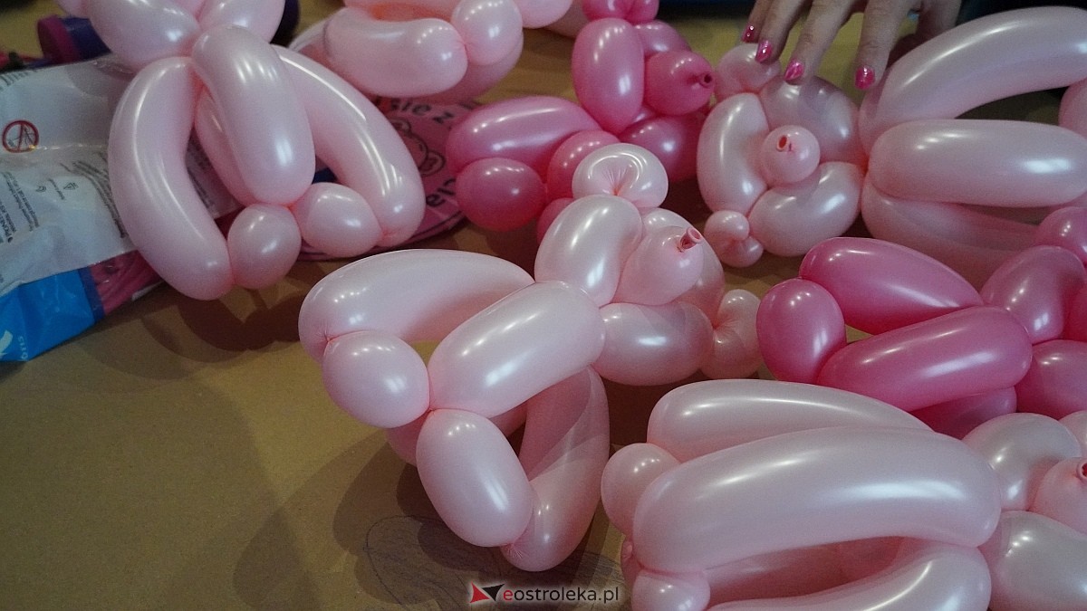 Finał akcji Misie z mmiłością w hali im. Arkadiusza Gołasia w Ostrołęce [13.03.2025] - zdjęcie #57 - eOstroleka.pl