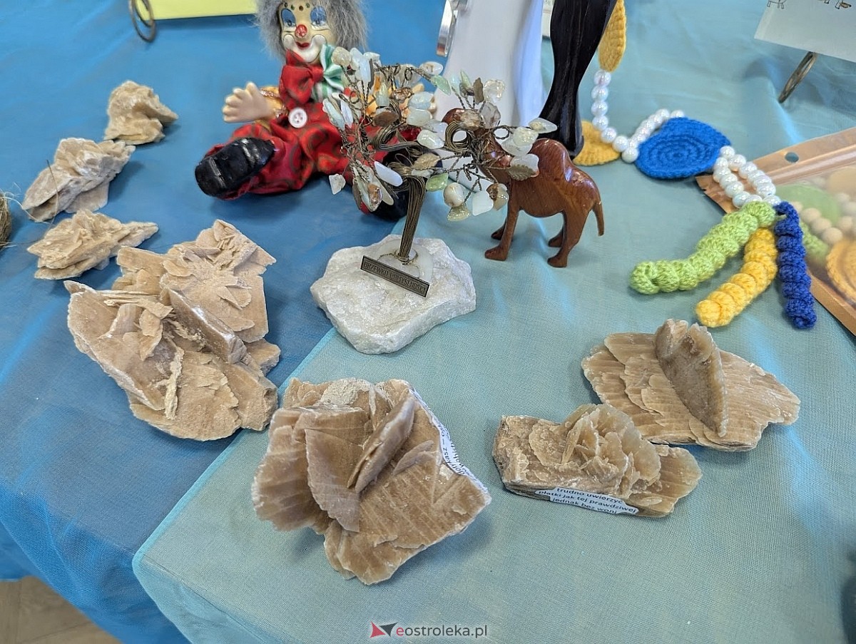 Giełda kolekcjonerska w Klubie Lokator [16.03.2025] - zdjęcie #6 - eOstroleka.pl