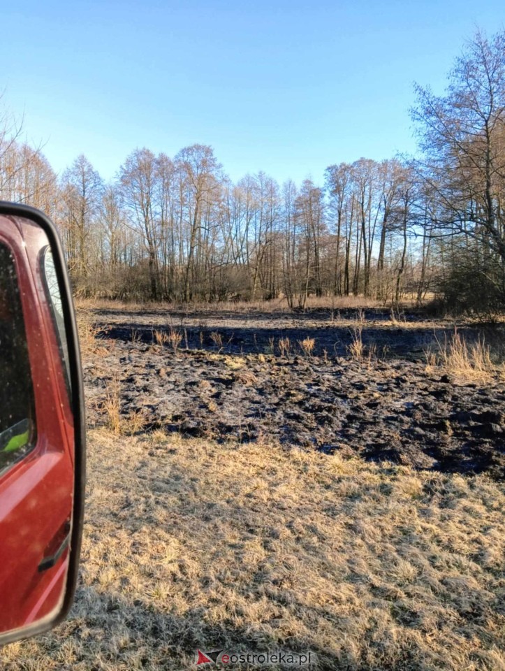 Pożar traw w Kuninie [19.03.2025] - zdjęcie #6 - eOstroleka.pl