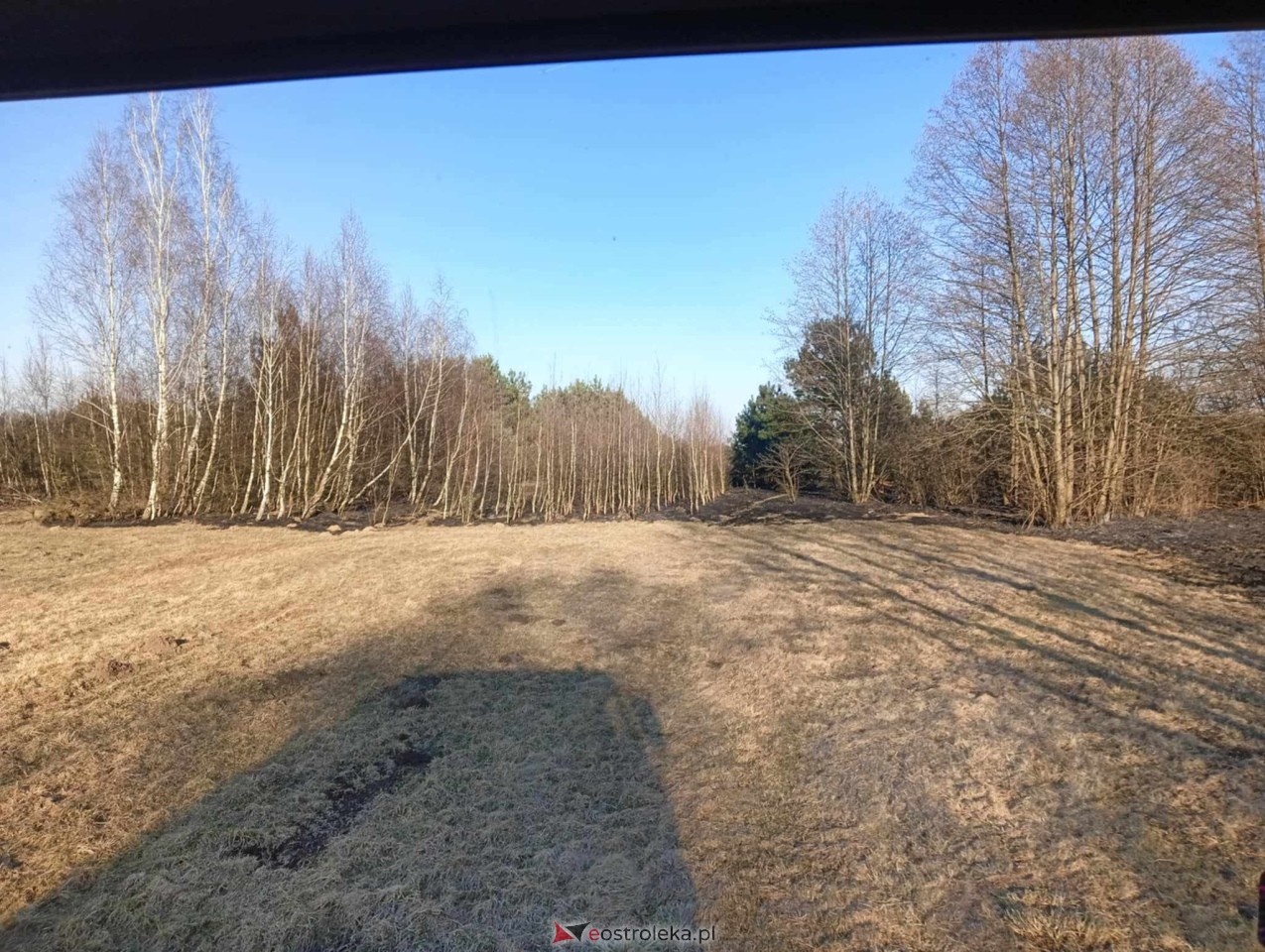 Pożar traw w Kuninie [19.03.2025] - zdjęcie #4 - eOstroleka.pl