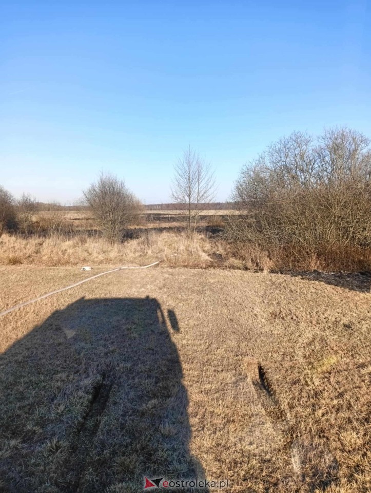 Pożar traw w Kuninie [19.03.2025] - zdjęcie #3 - eOstroleka.pl