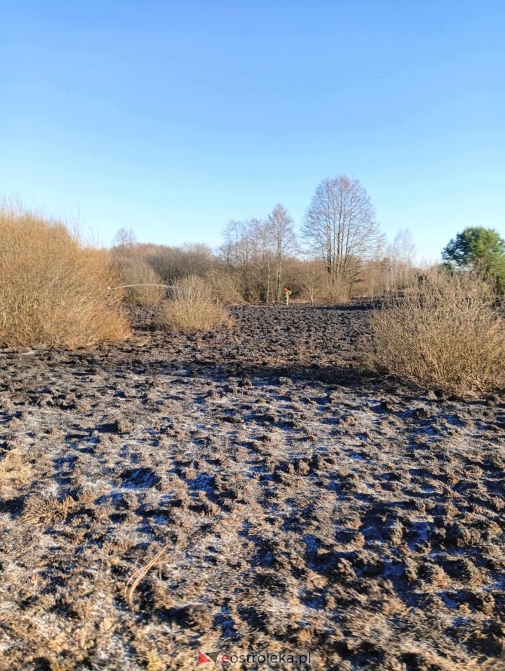 Pożar traw w Kuninie [19.03.2025] - zdjęcie #2 - eOstroleka.pl