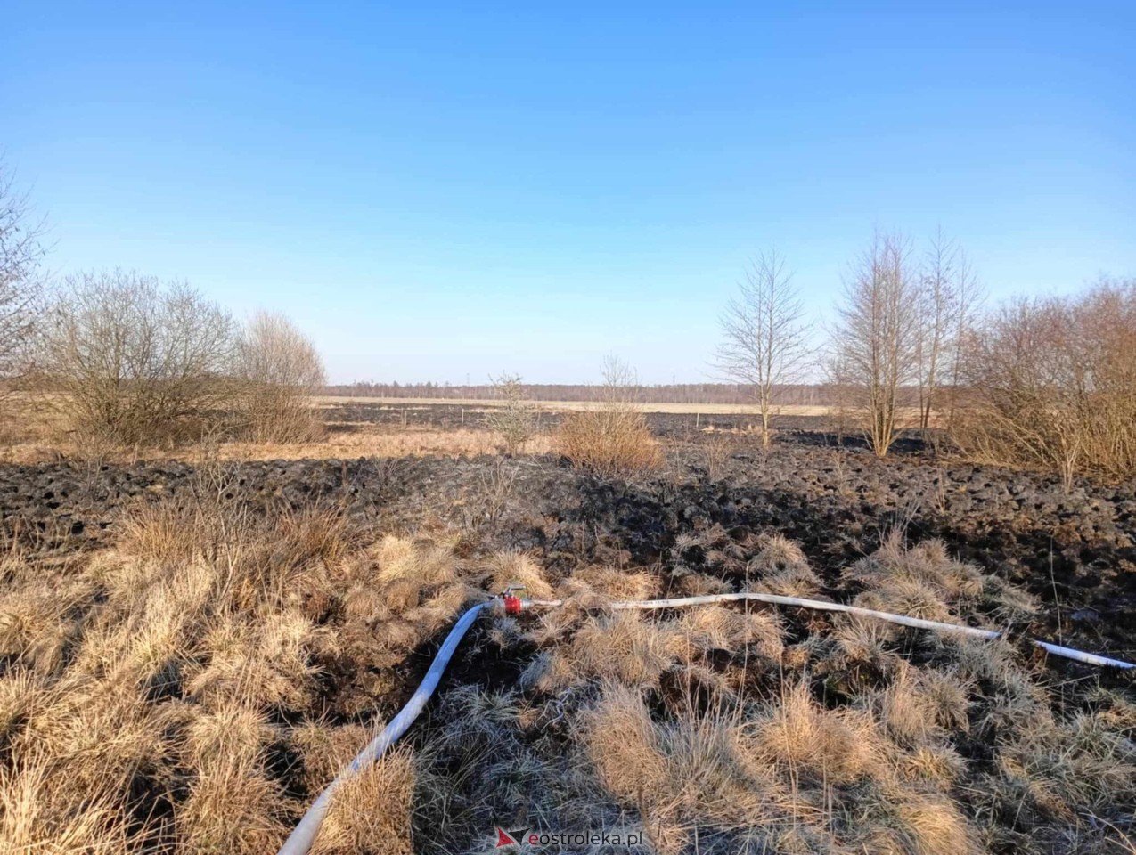 Pożar traw w Kuninie [19.03.2025] - zdjęcie #9 - eOstroleka.pl