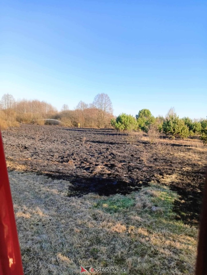 Pożar traw w Kuninie [19.03.2025] - zdjęcie #7 - eOstroleka.pl