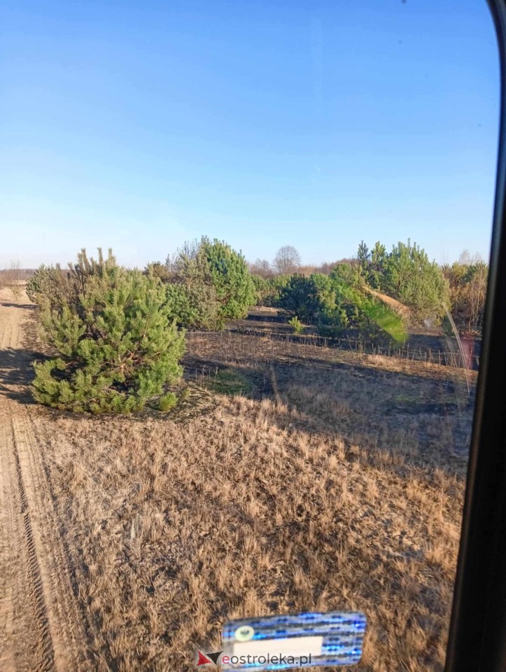 Pożar traw w Kuninie [19.03.2025] - zdjęcie #5 - eOstroleka.pl