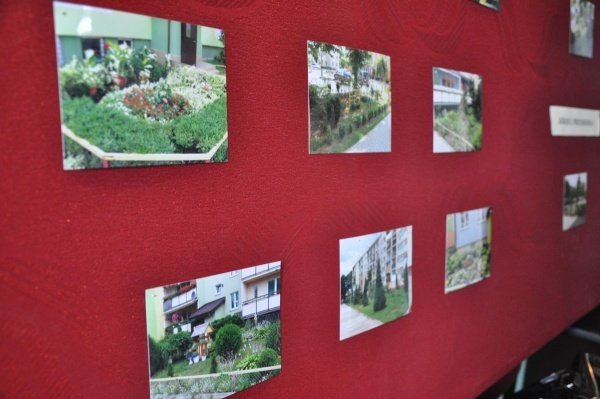 Konkurs na „Najpiękniejszą posesję, balkon i ogródek przyblokowy w mieście” rozstrzygnięty (15.IX.2011) - zdjęcie #22 - eOstroleka.pl