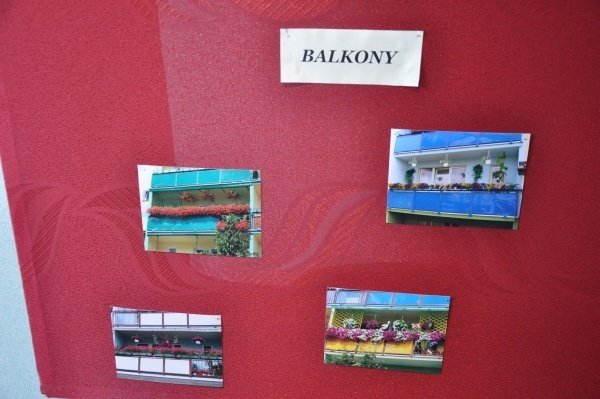 Konkurs na „Najpiękniejszą posesję, balkon i ogródek przyblokowy w mieście” rozstrzygnięty (15.IX.2011) - zdjęcie #9 - eOstroleka.pl