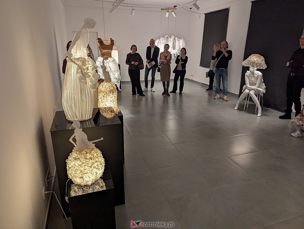 Wernisaż wystawy Gdy światło staje się sztuką Izabeli Klimkiewicz [20.03.2025] - zdjęcie #21 - eOstroleka.pl