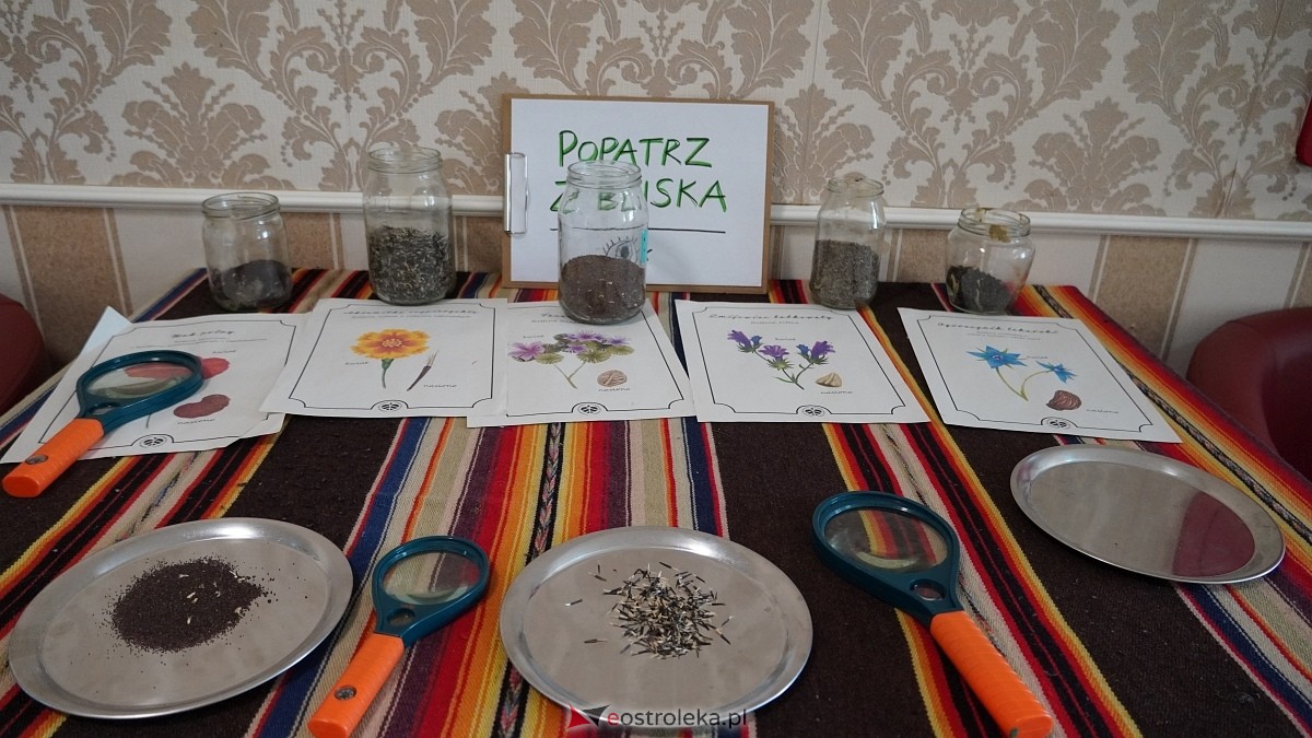 Fermenty w Lipiance [23.03.2025] - zdjęcie #7 - eOstroleka.pl