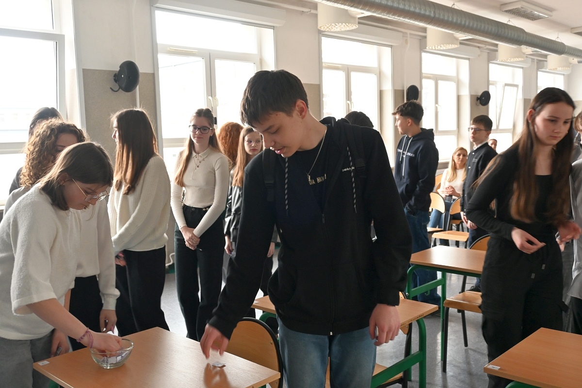 Konkurs dla Szkół Podstawowych “Memory Meister”  [27.03.2025] - zdjęcie #35 - eOstroleka.pl
