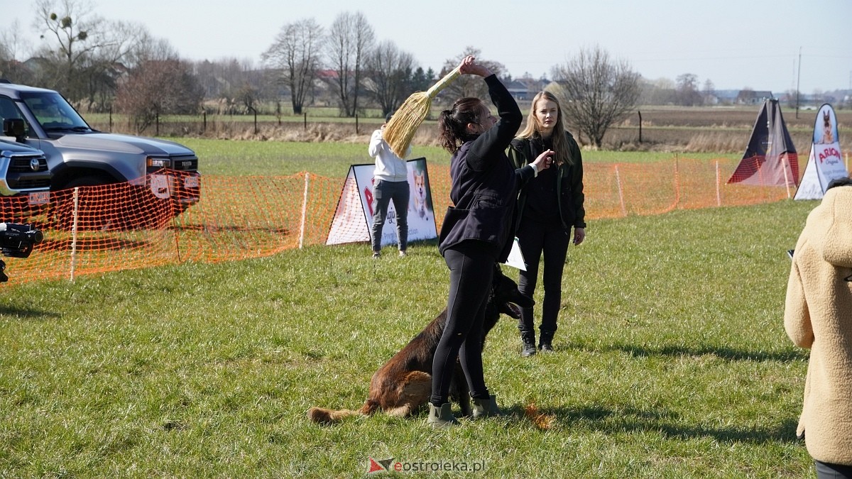 Podwójne zawody mondioringowe Wiosno, gdzie jesteś? w Przytułach Starych [29.03.2025] - zdjęcie #72 - eOstroleka.pl