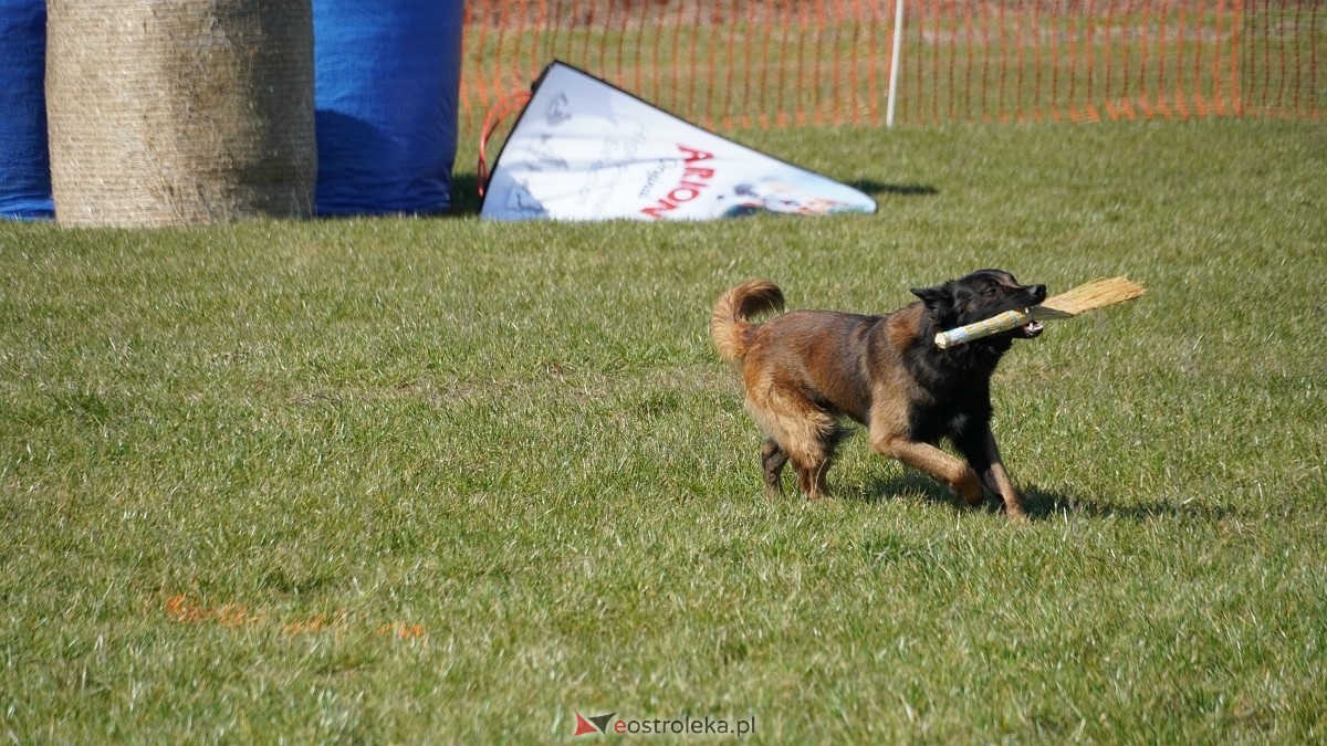 Podwójne zawody mondioringowe Wiosno, gdzie jesteś? w Przytułach Starych [29.03.2025] - zdjęcie #71 - eOstroleka.pl