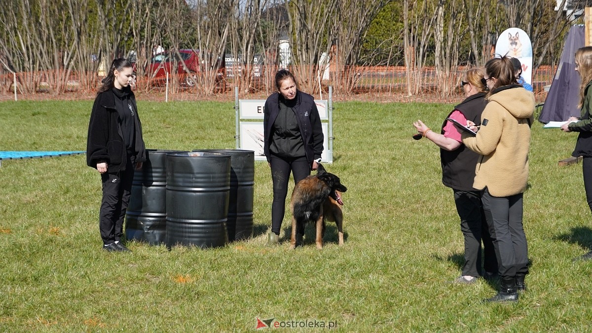 Podwójne zawody mondioringowe Wiosno, gdzie jesteś? w Przytułach Starych [29.03.2025] - zdjęcie #68 - eOstroleka.pl