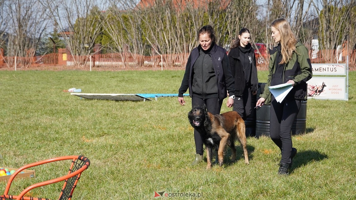 Podwójne zawody mondioringowe Wiosno, gdzie jesteś? w Przytułach Starych [29.03.2025] - zdjęcie #64 - eOstroleka.pl
