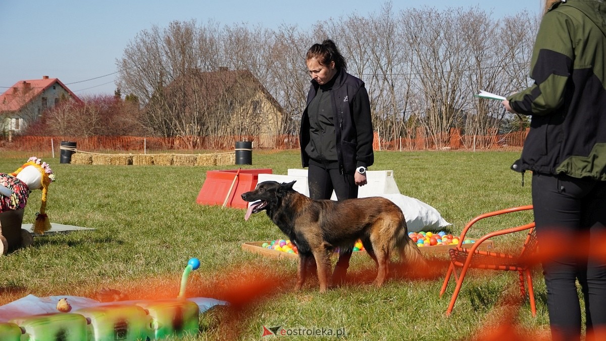 Podwójne zawody mondioringowe Wiosno, gdzie jesteś? w Przytułach Starych [29.03.2025] - zdjęcie #62 - eOstroleka.pl