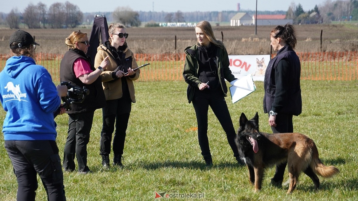Podwójne zawody mondioringowe Wiosno, gdzie jesteś? w Przytułach Starych [29.03.2025] - zdjęcie #50 - eOstroleka.pl