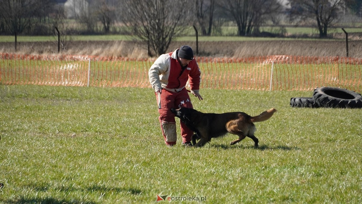 Podwójne zawody mondioringowe Wiosno, gdzie jesteś? w Przytułach Starych [29.03.2025] - zdjęcie #46 - eOstroleka.pl