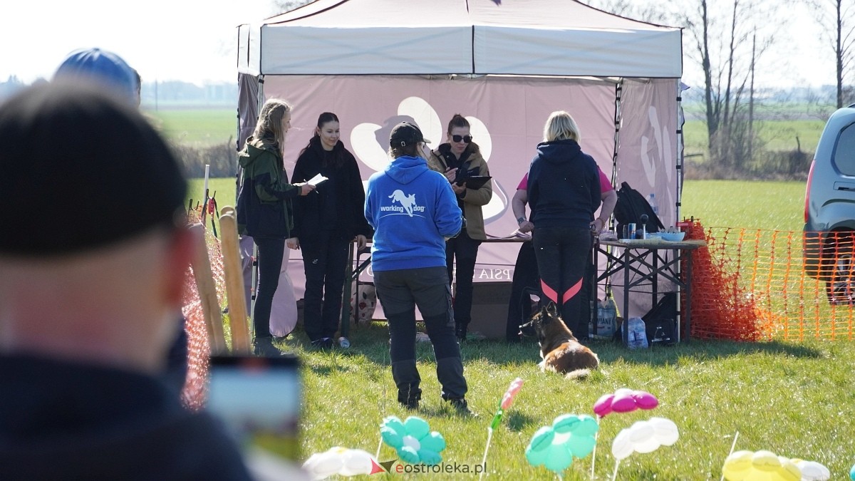 Podwójne zawody mondioringowe Wiosno, gdzie jesteś? w Przytułach Starych [29.03.2025] - zdjęcie #41 - eOstroleka.pl