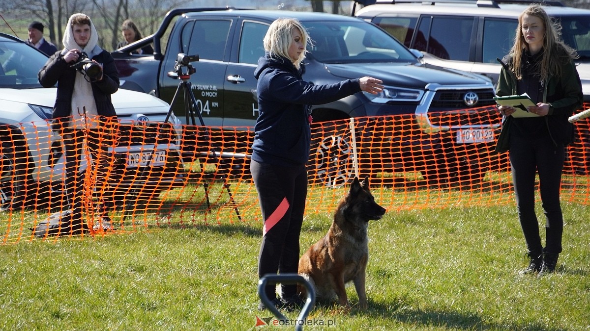 Podwójne zawody mondioringowe Wiosno, gdzie jesteś? w Przytułach Starych [29.03.2025] - zdjęcie #39 - eOstroleka.pl