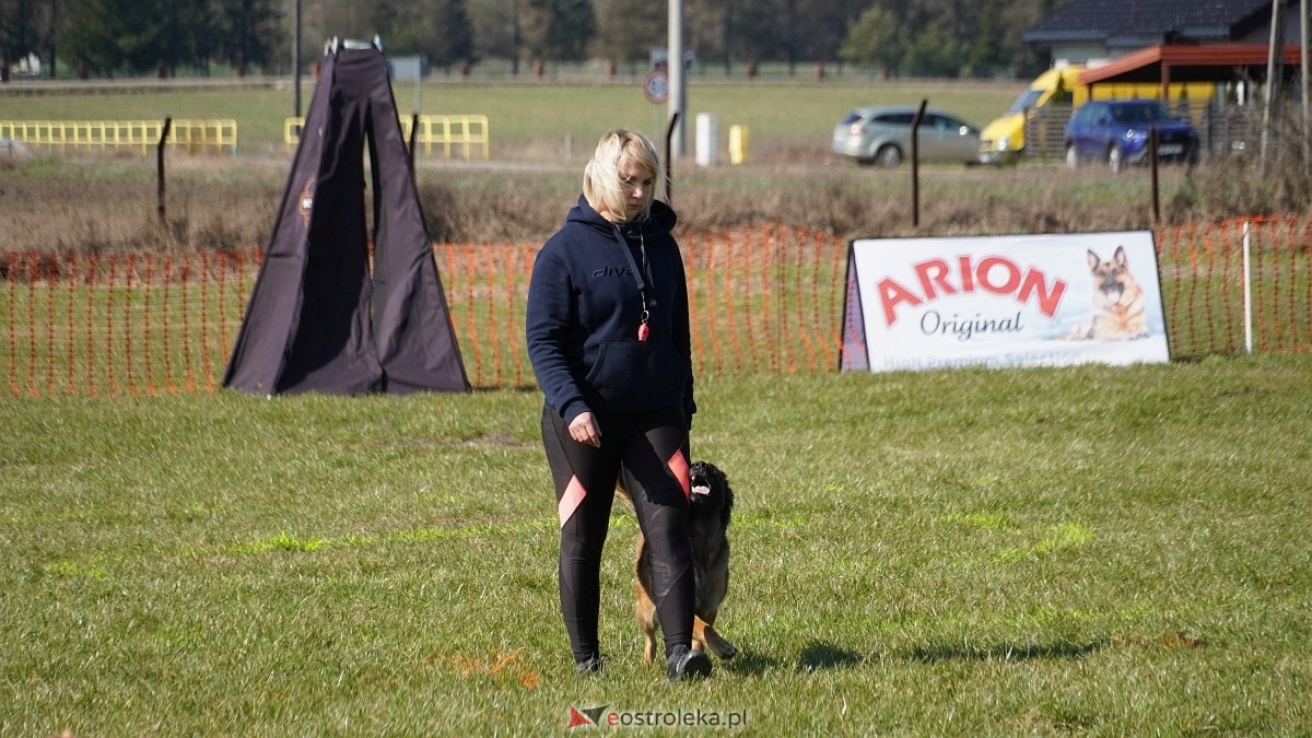 Podwójne zawody mondioringowe Wiosno, gdzie jesteś? w Przytułach Starych [29.03.2025] - zdjęcie #37 - eOstroleka.pl