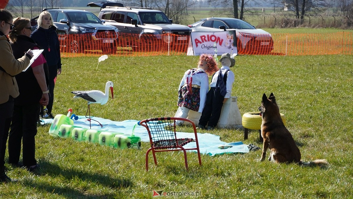 Podwójne zawody mondioringowe Wiosno, gdzie jesteś? w Przytułach Starych [29.03.2025] - zdjęcie #35 - eOstroleka.pl