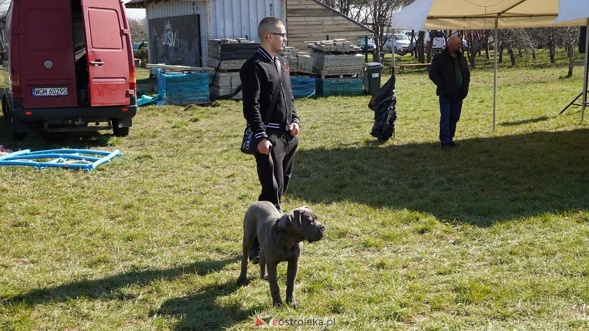 Podwójne zawody mondioringowe Wiosno, gdzie jesteś? w Przytułach Starych [29.03.2025] - zdjęcie #32 - eOstroleka.pl
