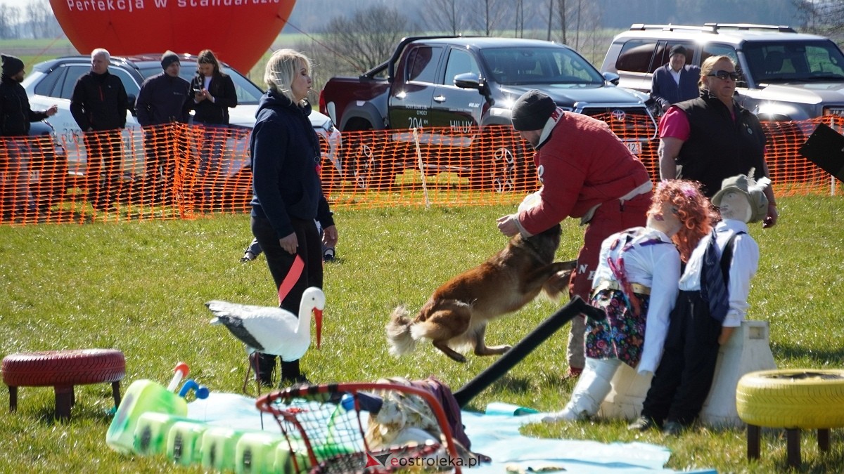 Podwójne zawody mondioringowe Wiosno, gdzie jesteś? w Przytułach Starych [29.03.2025] - zdjęcie #29 - eOstroleka.pl