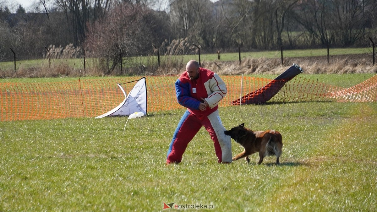 Podwójne zawody mondioringowe Wiosno, gdzie jesteś? w Przytułach Starych [29.03.2025] - zdjęcie #28 - eOstroleka.pl