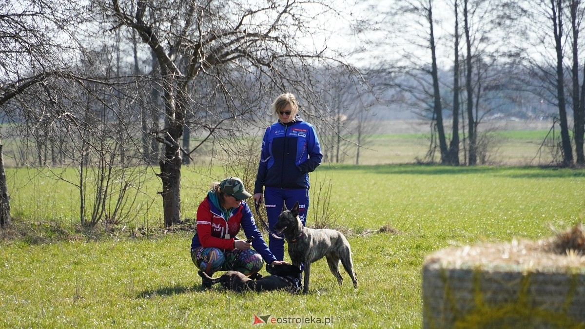 Podwójne zawody mondioringowe Wiosno, gdzie jesteś? w Przytułach Starych [29.03.2025] - zdjęcie #26 - eOstroleka.pl