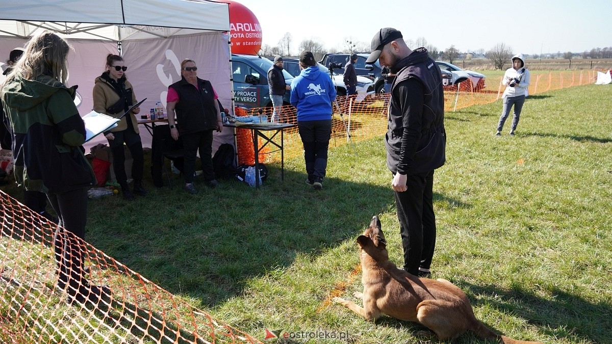 Podwójne zawody mondioringowe Wiosno, gdzie jesteś? w Przytułach Starych [29.03.2025] - zdjęcie #21 - eOstroleka.pl