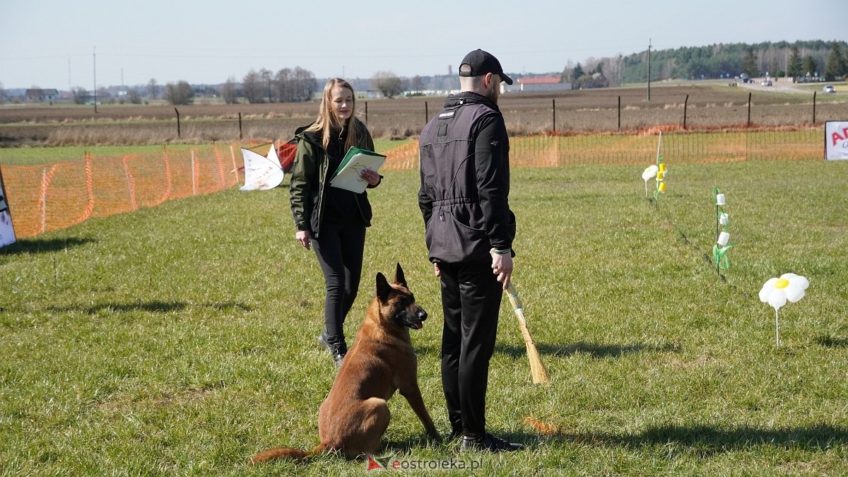 Podwójne zawody mondioringowe Wiosno, gdzie jesteś? w Przytułach Starych [29.03.2025] - zdjęcie #17 - eOstroleka.pl