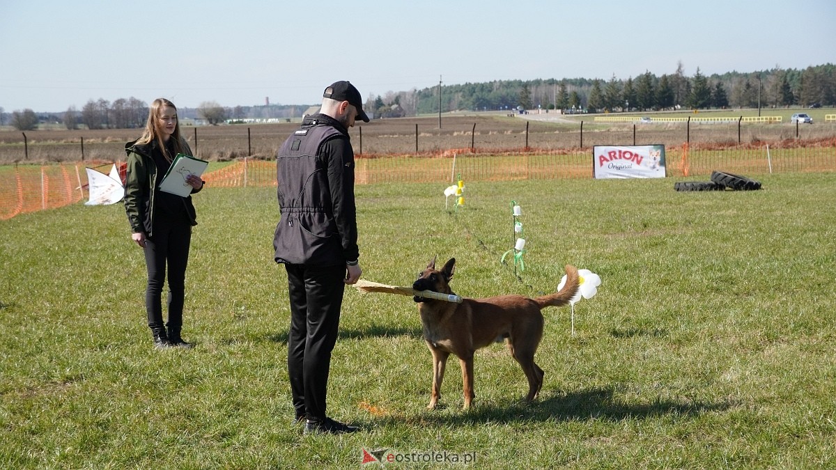 Podwójne zawody mondioringowe Wiosno, gdzie jesteś? w Przytułach Starych [29.03.2025] - zdjęcie #15 - eOstroleka.pl
