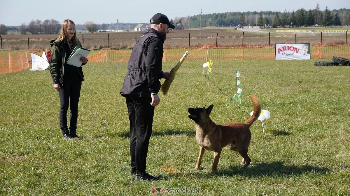 Podwójne zawody mondioringowe Wiosno, gdzie jesteś? w Przytułach Starych [29.03.2025] - zdjęcie #14 - eOstroleka.pl