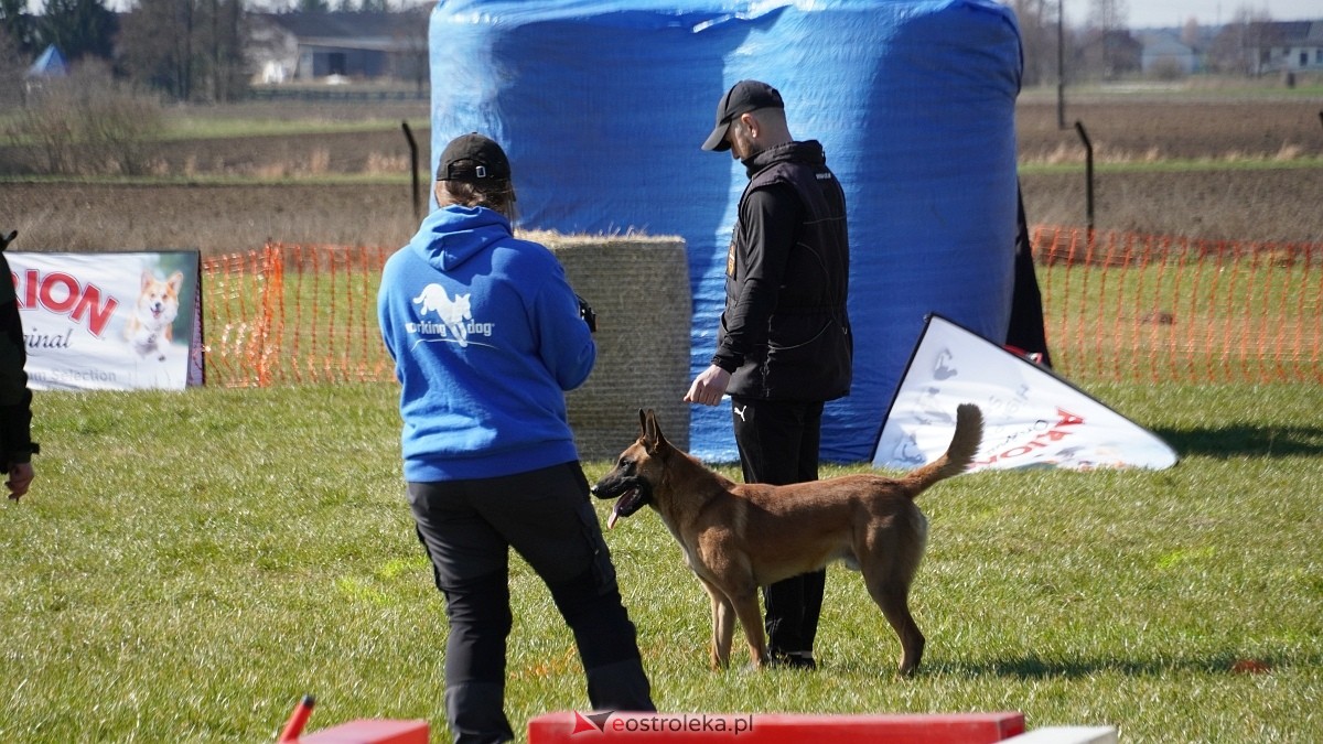 Podwójne zawody mondioringowe Wiosno, gdzie jesteś? w Przytułach Starych [29.03.2025] - zdjęcie #9 - eOstroleka.pl