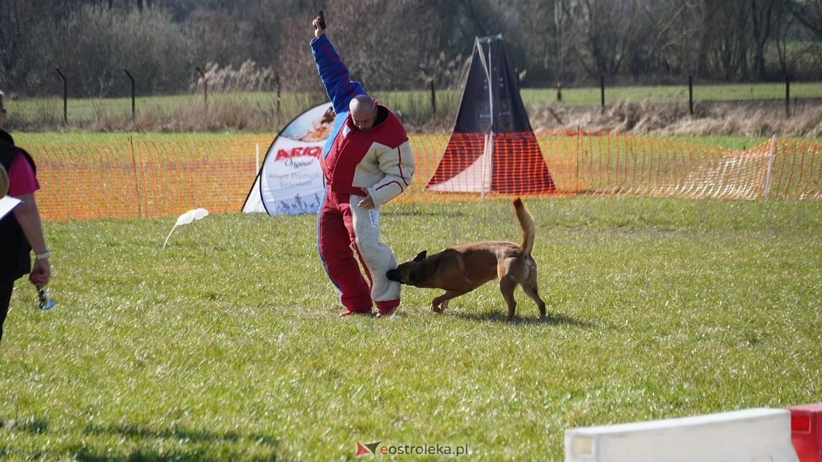Podwójne zawody mondioringowe Wiosno, gdzie jesteś? w Przytułach Starych [29.03.2025] - zdjęcie #2 - eOstroleka.pl