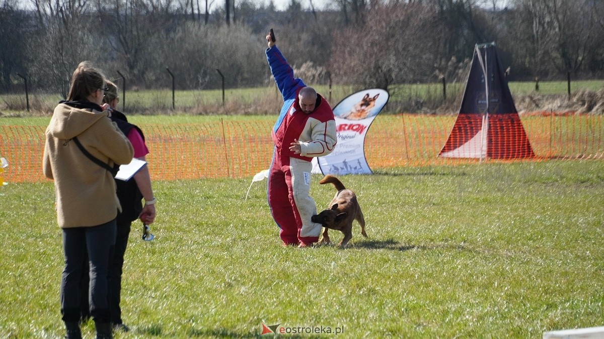 Podwójne zawody mondioringowe Wiosno, gdzie jesteś? w Przytułach Starych [29.03.2025] - zdjęcie #1 - eOstroleka.pl